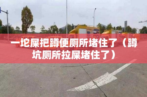 一坨屎把蹲便廁所堵住了（蹲坑廁所拉屎堵住了）