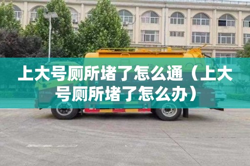 上大號廁所堵了怎么通（上大號廁所堵了怎么辦）