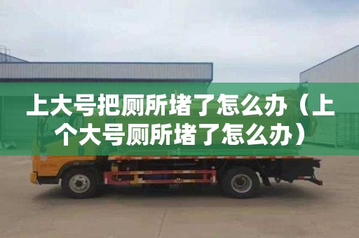 上大號把廁所堵了怎么辦（上個(gè)大號廁所堵了怎么辦）