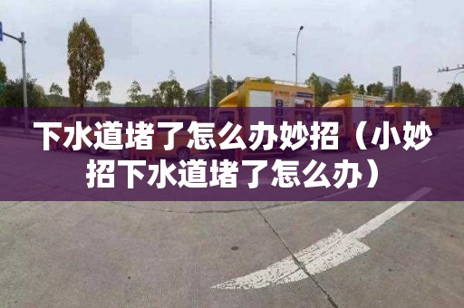 下水道堵了怎么辦妙招（小妙招下水道堵了怎么辦）