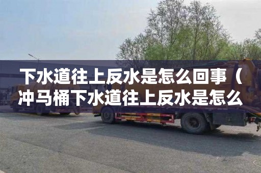 下水道往上反水是怎么回事（沖馬桶下水道往上反水是怎么回事）