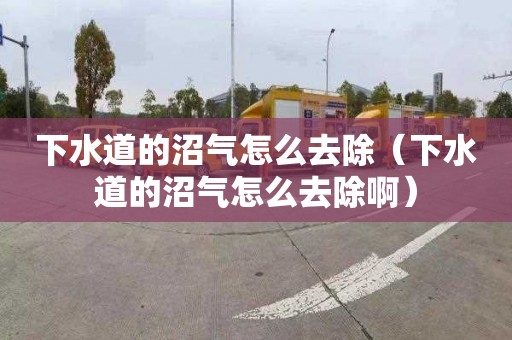 下水道的沼氣怎么去除（下水道的沼氣怎么去除?。?></div>
            <div   id=