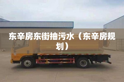 東辛房東街抽污水（東辛房規劃）