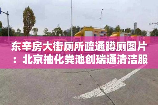 東辛房大街廁所疏通蹲廁圖片：北京抽化糞池創(chuàng  )瑞通清潔服務(wù)電話(huà)