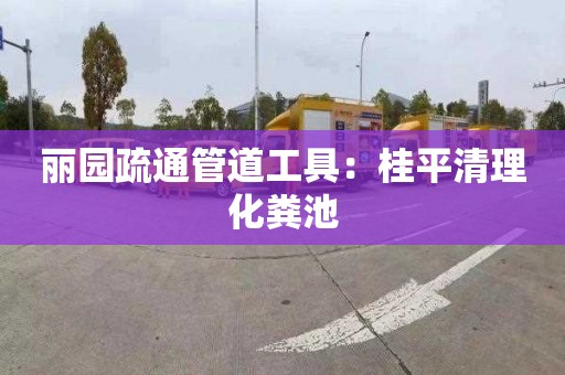 麗園疏通管道工具：桂平清理化糞池