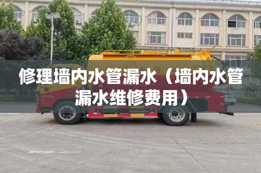 修理墻內水管漏水（墻內水管漏水維修費用）