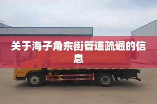 關(guān)于海子角東街管道疏通的信息