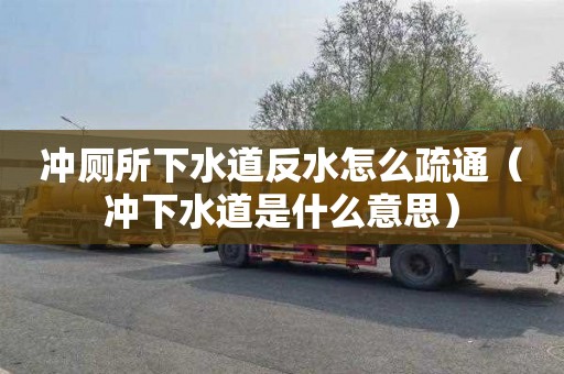 沖廁所下水道反水怎么疏通（沖下水道是什么意思）