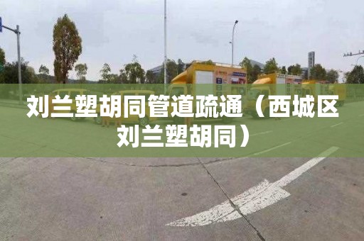 劉蘭塑胡同管道疏通（西城區劉蘭塑胡同）