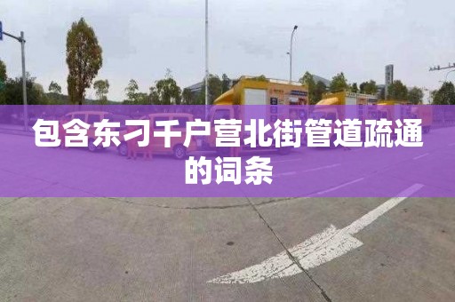 包含東刁千戶(hù)營(yíng)北街管道疏通的詞條