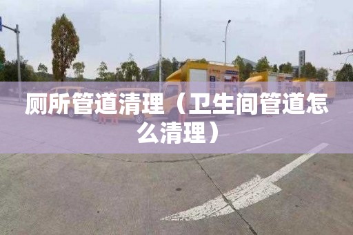 廁所管道清理（衛生間管道怎么清理）