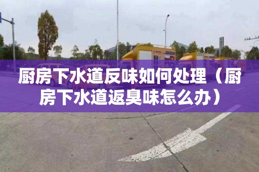 廚房下水道反味如何處理（廚房下水道返臭味怎么辦）