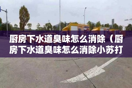 廚房下水道臭味怎么消除（廚房下水道臭味怎么消除小蘇打）