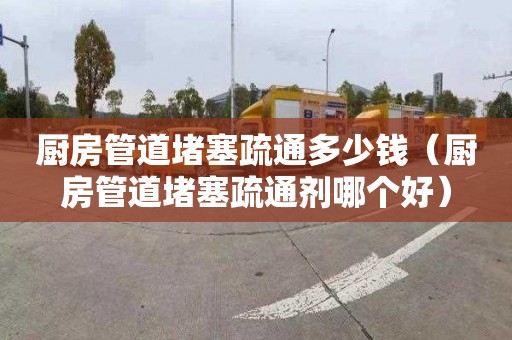 廚房管道堵塞疏通多少錢(qián)（廚房管道堵塞疏通劑哪個(gè)好）