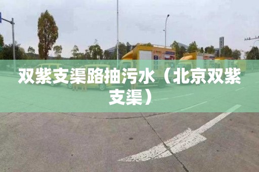 雙紫支渠路抽污水（北京雙紫支渠）