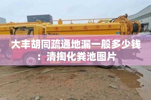 大豐胡同疏通地漏一般多少錢(qián)：清掏化糞池圖片