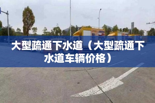 大型疏通下水道（大型疏通下水道車(chē)輛價(jià)格）