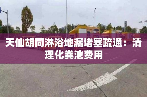 天仙胡同淋浴地漏堵塞疏通：清理化糞池費用