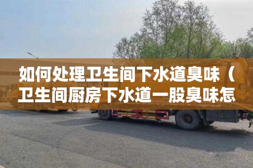 如何處理衛生間下水道臭味（衛生間廚房下水道一股臭味怎么辦）