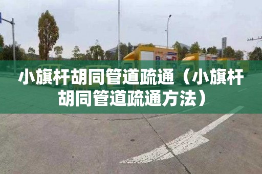 小旗桿胡同管道疏通（小旗桿胡同管道疏通方法）