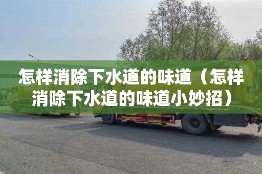 怎樣消除下水道的味道（怎樣消除下水道的味道小妙招）