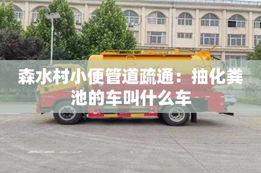 森水村小便管道疏通：抽化糞池的車(chē)叫什么車(chē)