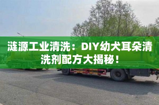 漣源工業(yè)清洗：DIY幼犬耳朵清洗劑配方大揭秘！