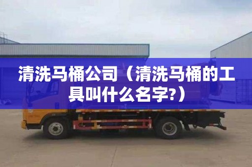 清洗馬桶公司（清洗馬桶的工具叫什么名字?）