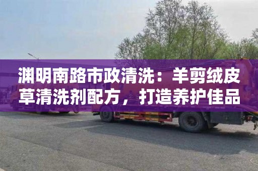 淵明南路市政清洗：羊剪絨皮草清洗劑配方，打造養護佳品