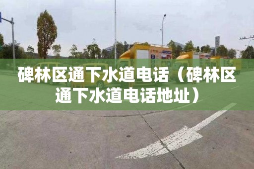 碑林區通下水道電話(huà)（碑林區通下水道電話(huà)地址）