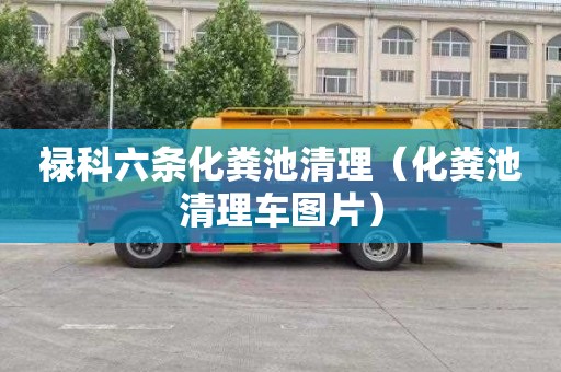 祿科六條化糞池清理（化糞池清理車(chē)圖片）