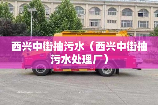 西興中街抽污水（西興中街抽污水處理廠(chǎng)）