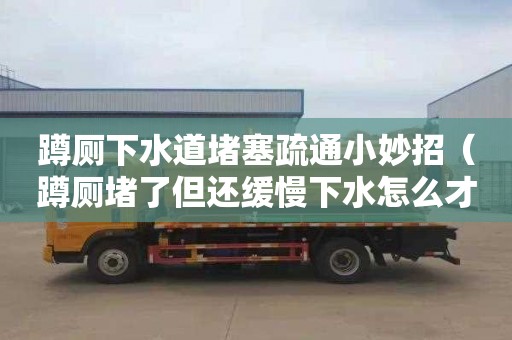 蹲廁下水道堵塞疏通小妙招（蹲廁堵了但還緩慢下水怎么才能疏通）