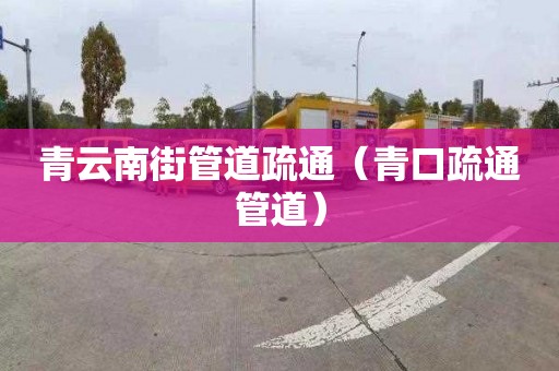 青云南街管道疏通（青口疏通管道）