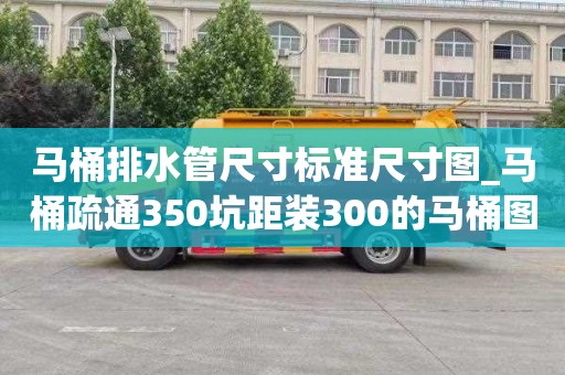 馬桶排水管尺寸標準尺寸圖_馬桶疏通350坑距裝300的馬桶圖