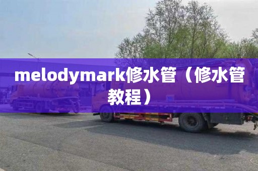 melodymark修水管（修水管教程）